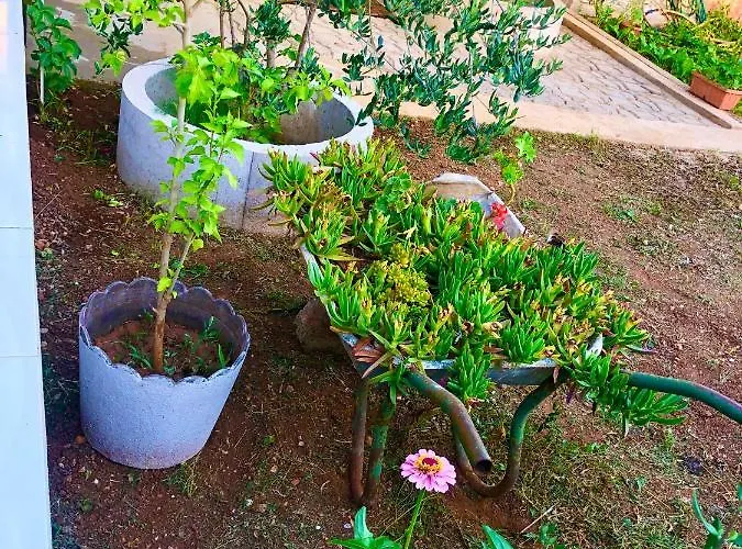 Vakantiehuis House Gita Mrljane